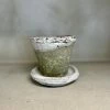 The Grey Works Pots & Planters Antiqued Whitestone Plant Pot And Saucer - Small