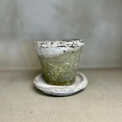 The Grey Works Pots & Planters Antiqued Whitestone Plant Pot And Saucer - Small