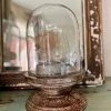 Deals ๐ The Grey Works Antiqued Zinc Decorative Glass Dome - Medium ๐ 1 The Grey Works Antiqued Zinc Decorative Glass Dome - Medium