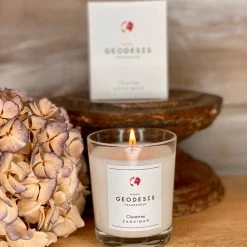 Geodesis Clove Tree Fragrance Candle โ (Zanzibar)