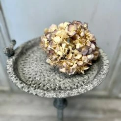 The Grey Works French Style Bird Table In Zinc