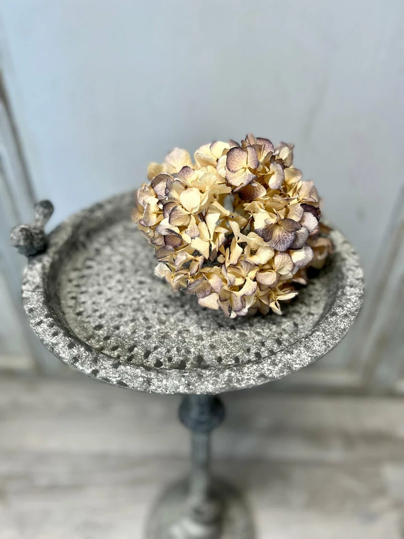 New ๐งจ The Grey Works French Style Bird Table In Zinc โจ 4 The Grey Works French Style Bird Table In Zinc