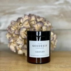 Geodesis Nature Scented Candle - Clove Tree Candles