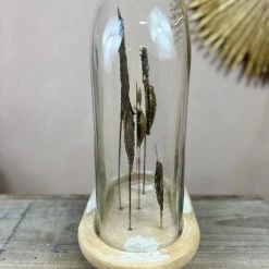 The Grey Works Sacred Heart Ex Voto Oval Glass Dome Dome - Natural Antiqued