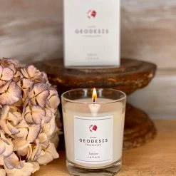 Geodesis Sakura Fragranced Candle – (Japan)